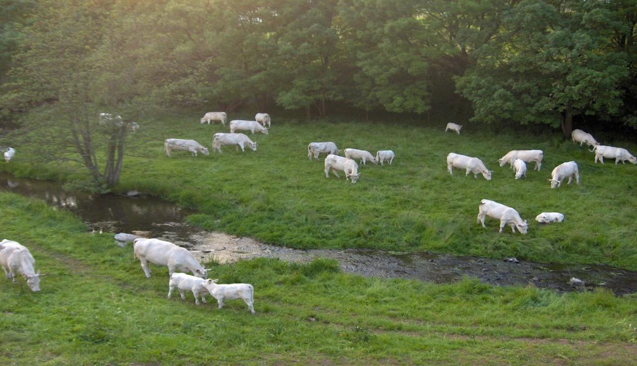 Appartamento Betzemuehle 1 Bauernhof Altenschlirf Esterno foto
