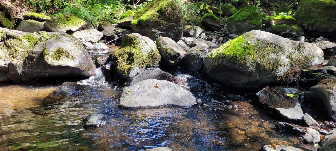Appartamento Betzemuehle 1 Bauernhof Altenschlirf Esterno foto